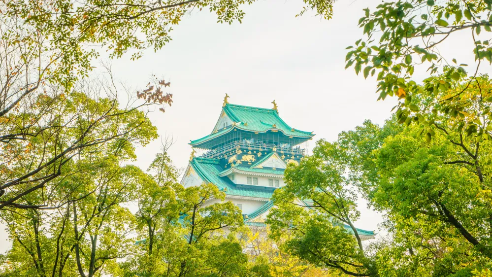 Japan’s perovskite targets face cost and durability gaps: IEEFA