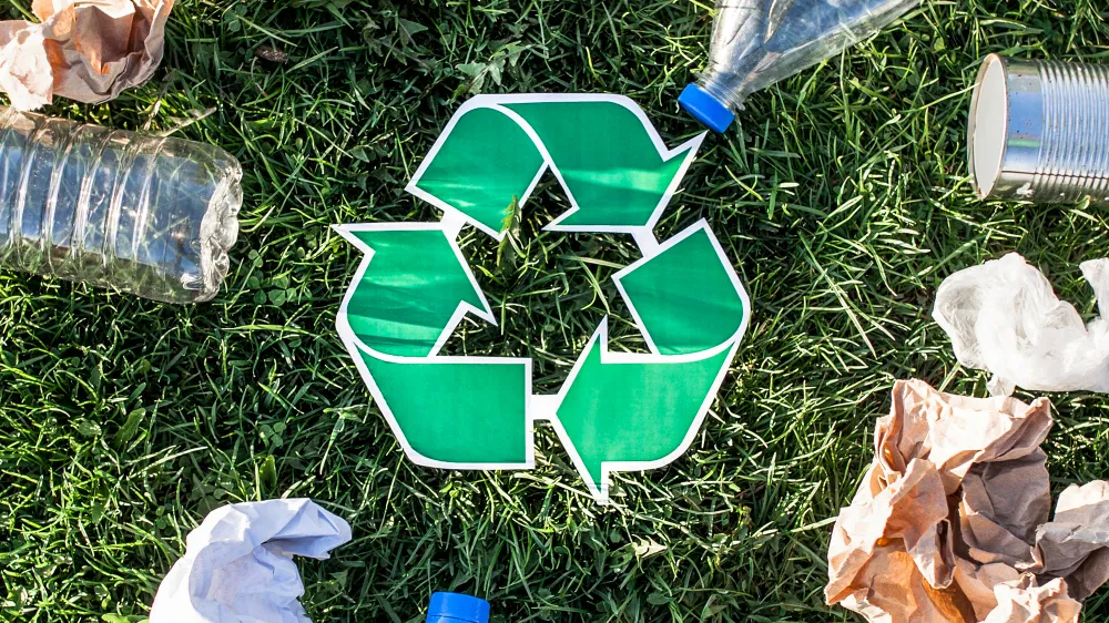 Affordability barrier stalls sustainability adoption in Singapore: Singlife