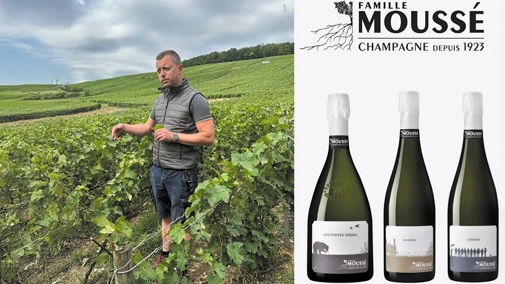 Vinum Fine Wines introduces Famille Moussé Champagne to Singapore trade  