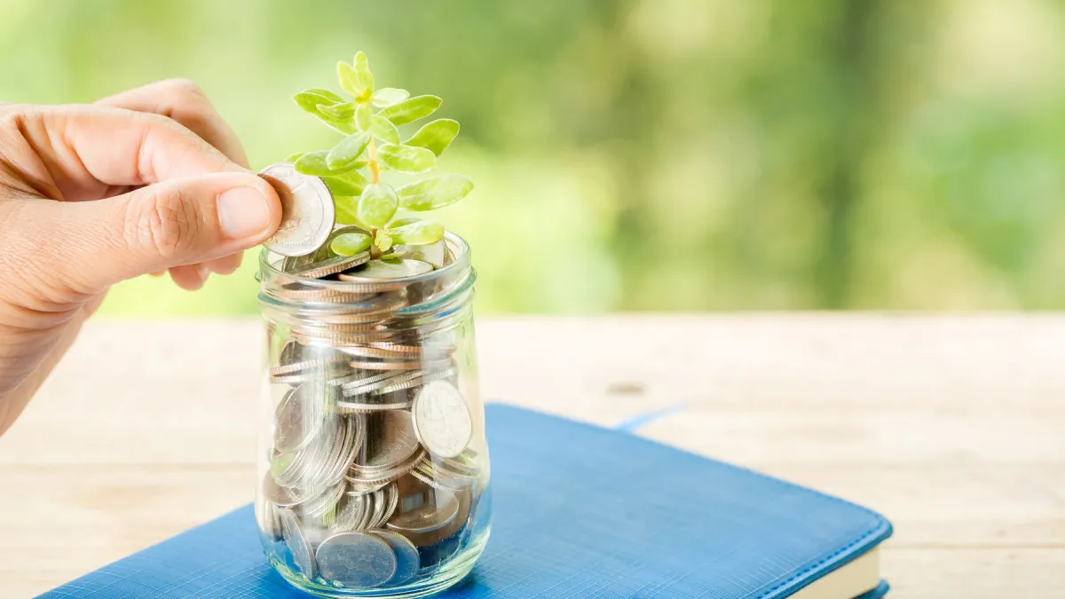 Singapore taps Rwandan carbon credits to offset local taxes