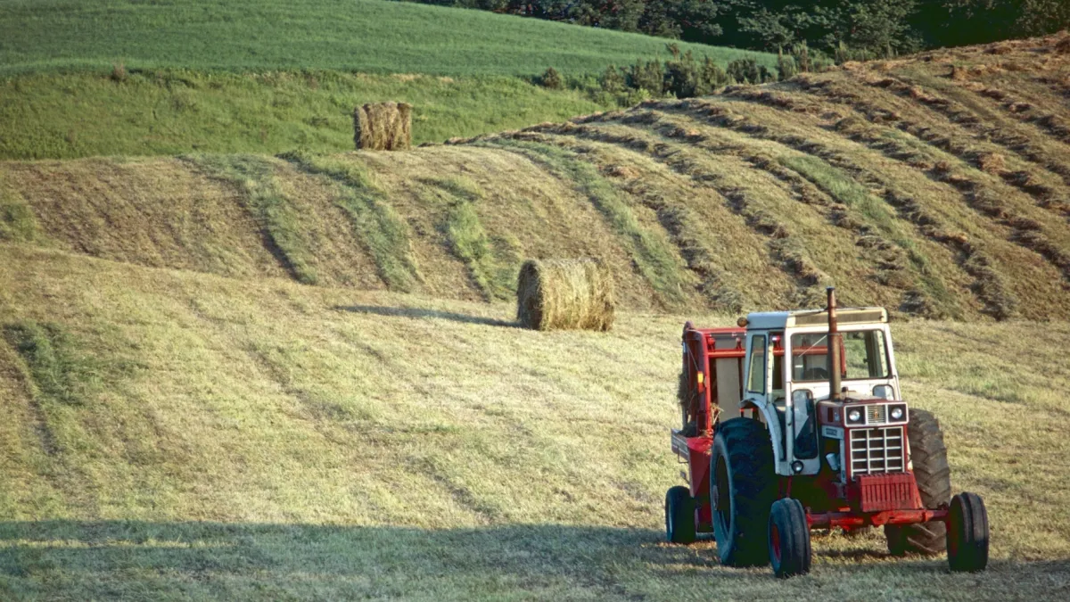 Federal, provincial governments to plump up agribusinesses in Ontario