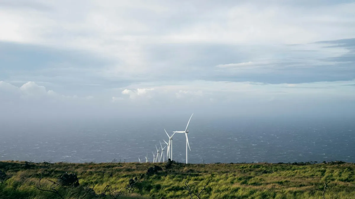 CleanCo Queensland exits Moah Creek project after full development review