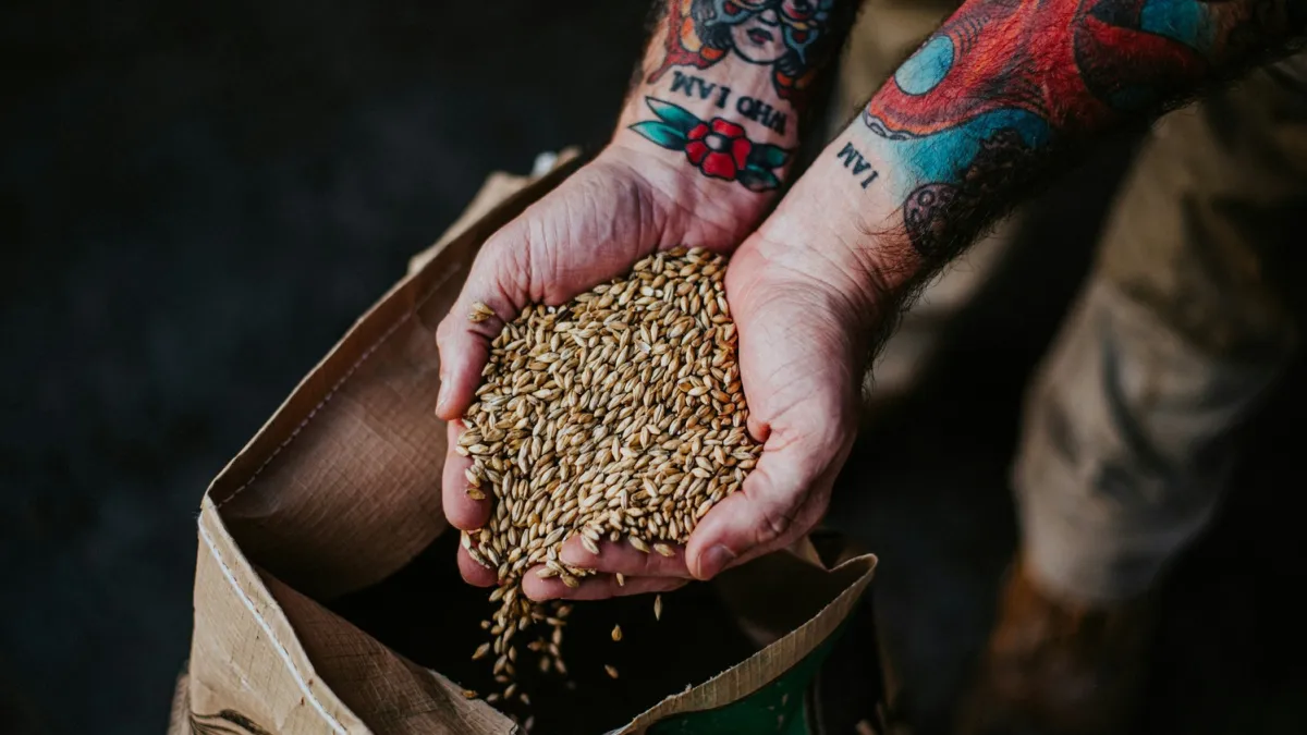 Soufflet Malt invests $118m in South Rajasthan malthouse