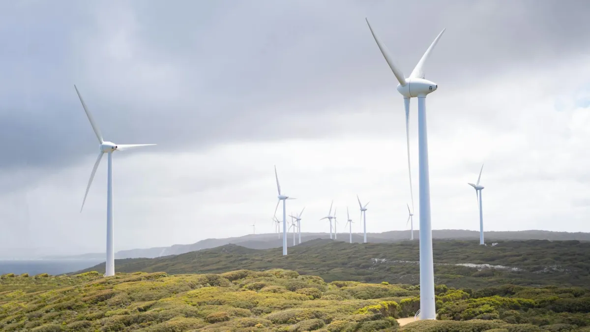 NSW launches directories to connect local businesses with renewable energy projects