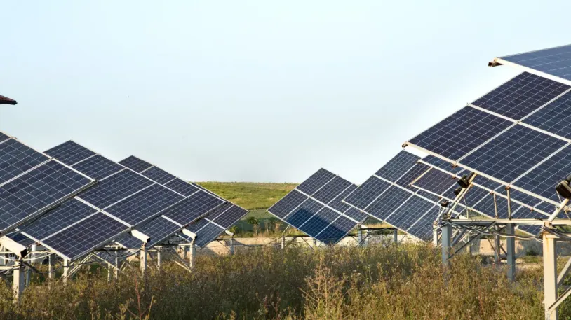 Firms split on green growth, peak oil timelines, Bain says