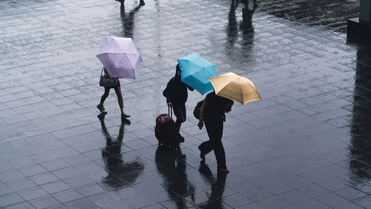 Insurance buyers gain leverage as pricing softens: Aon