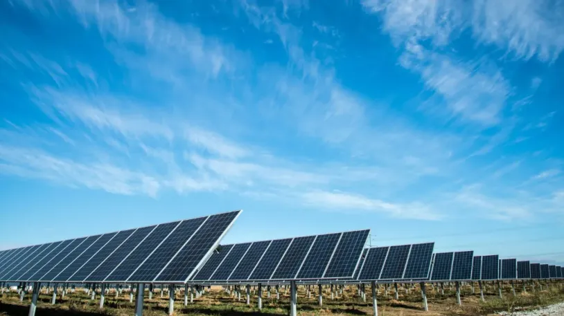 JinkoSolar’s Q1 module shipments plunge 21.9%