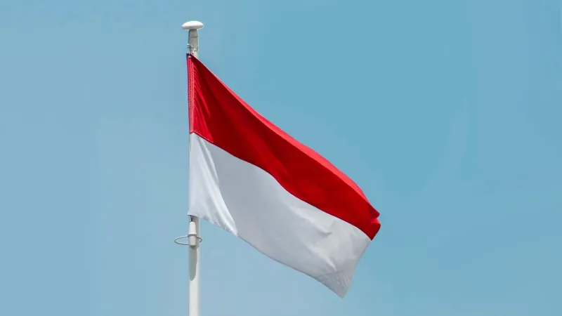 Spectrum auctions could cut Indonesia telecom EBITDA and net profit