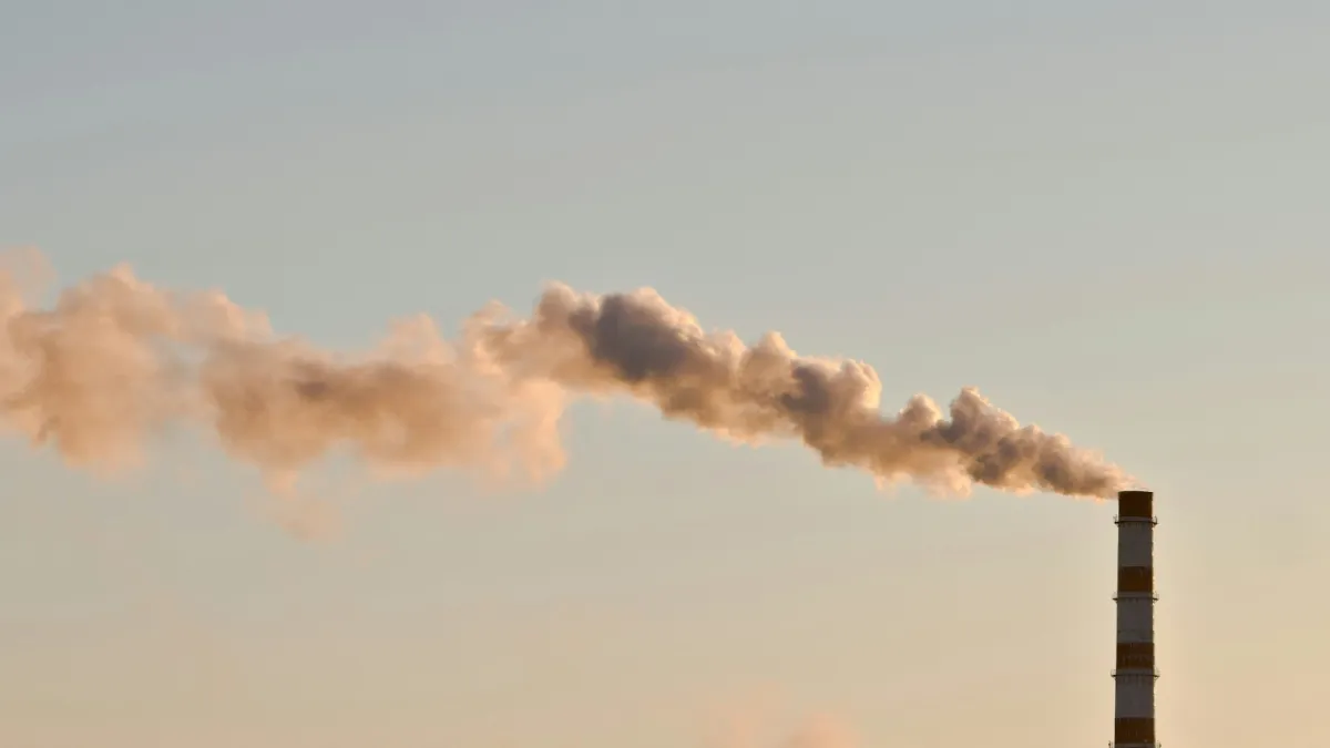 Carbon credits seen as key to net zero but market risks loom
