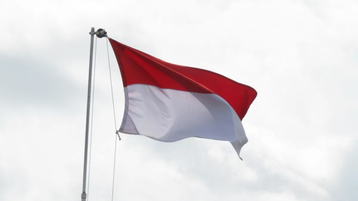 Indonesian fixed telecom market to reach $1.4b by 2030 as landlines disconnect