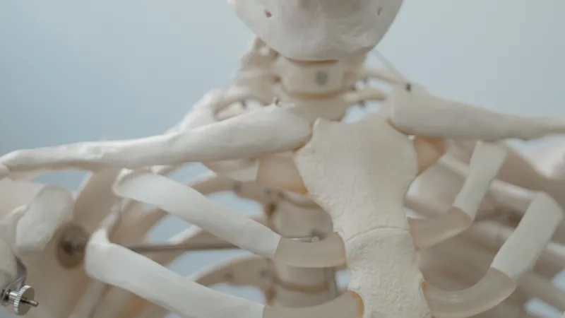 Spinal fusion demand to drive South Korea's bone grafts market growth 