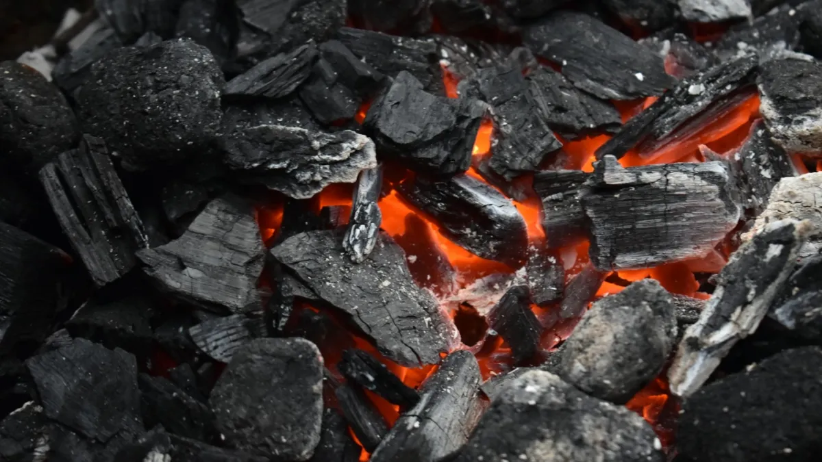 India’s coal fleet delivers nearly 70% of electricity in Q2