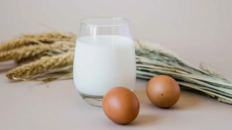 China’s $425b protein market leads global growth 