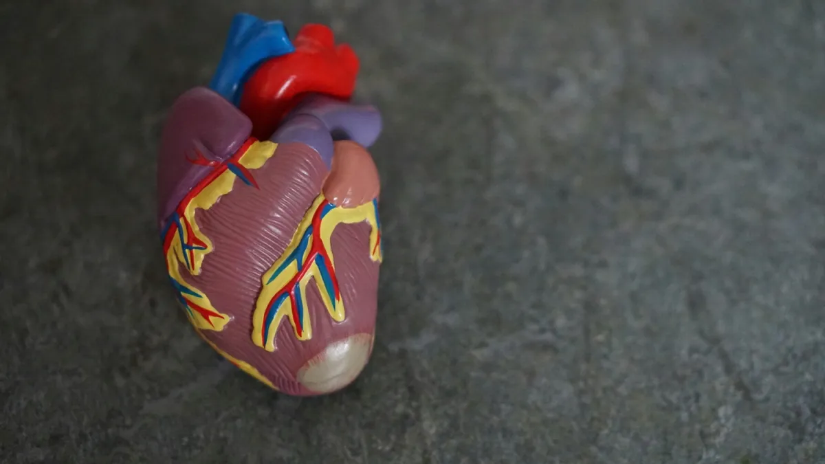 Congestive heart failure market across 7MM to rise 8% CAGR through 2036