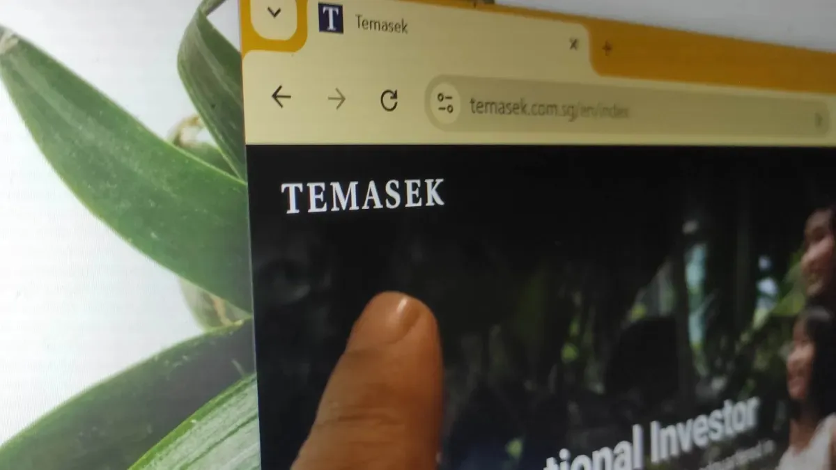 SG government keeping hands off Temasek's investment decisions