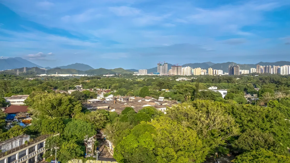 Government to resume 1,045 private lots for Ngau Tam Mei NDA