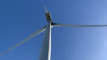 Chinese firms top global wind turbine market in 2024