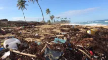 Insurance Development Forum launches open tools for climate risk understanding