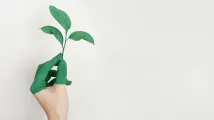 Ping An Insurance included in S&P Global’s 2025 sustainability list