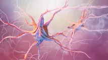 7MM myasthenia gravis market to be valued at $10.3b by 2034