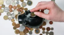 Nomura adds Allspring Income Fund to private banking lineup