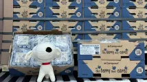 JD Super expands blueberry supply with Camposol partnership