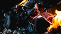 No major shift seen for global coal demand in 2025-2026
