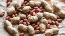 7MM peanut allergy market eyes 16% CAGR growth through 2034