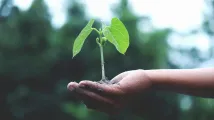Singapore and Thailand ink carbon credit collaboration