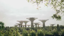 EDP installs solar panels at Gardens by the Bay