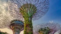 SG60: Singapore launches new state-funded traineeship programme