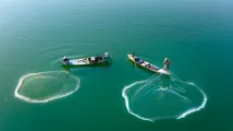 Ocean hull premiums grow as fleet value climbs to $1.54t