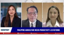 Philippine agriculture needs productivity-led reforms