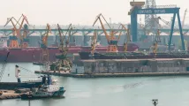 Yangzijiang Maritime: No HK listing plans at present