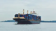 China ports pass stress test with about 30% throughput buffer