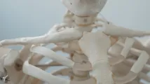 Spinal fusion demand to drive South Korea's bone grafts market growth 