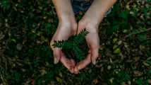 Think tank urges Japan to ditch market neutrality to fight greenwashing