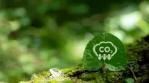 SG-Indonesia pact builds climate finance plan for carbon credits 