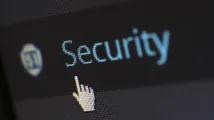 Outdated plugins drive 74% of WordPress vulnerabilities