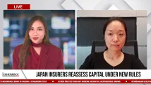 Japan insurers reassess capital under new solvency rules