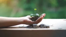 DBS programme helps 50 SMEs advance ESG readiness