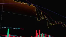 Daily Markets Briefing: STI down 0.49%; Top stock is DFI Retail Group