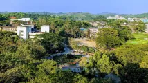 More greenery for Sunset Way and Gillman Barracks after public feedback