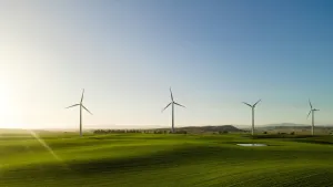 Carbon tax, green imports raise cost, compliance risks