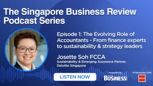 Redefining traditional roles: How accountants are leading the sustainability shift
