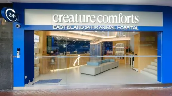 Creature Comforts expands 24-hour ‘fear-free’ animal hospital in Shau Kei Wan
