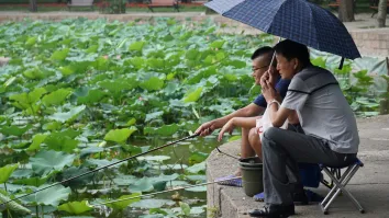 Chinese insurers expand digital solutions to customise coverage