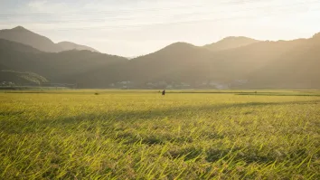 Norinchukin fortifies JA Mitsui Leasing after $968m fraud allowance