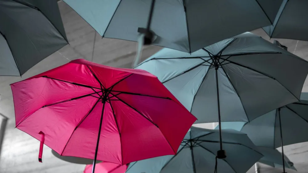 Political risk insurance gains as 1 in 4 expect growth