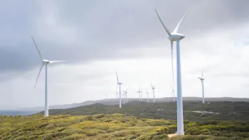 NSW launches directories to connect local businesses with renewable energy projects